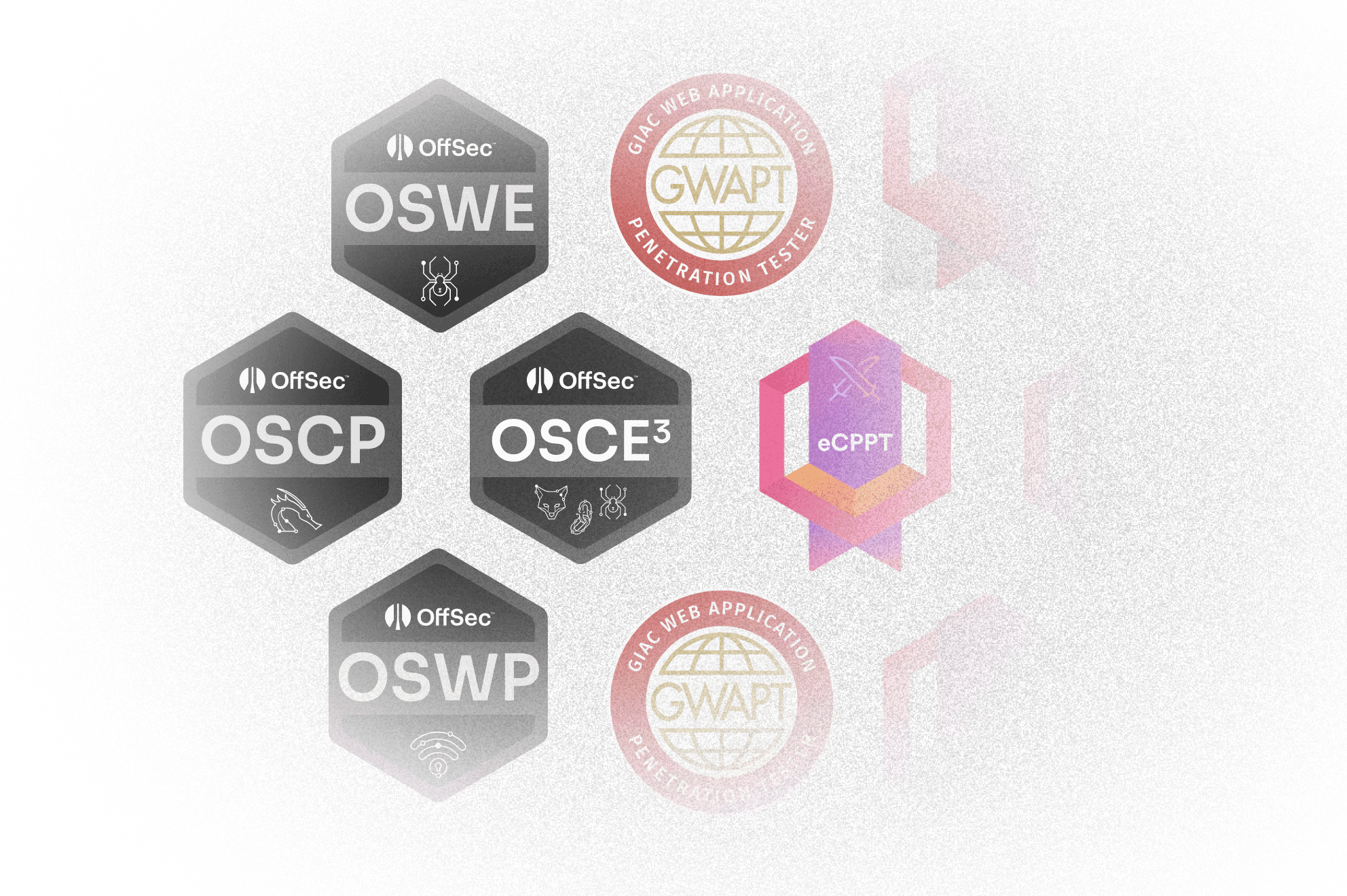 teamCertificates