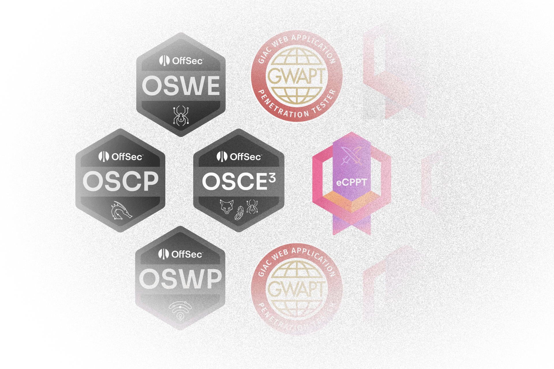 teamCertificates