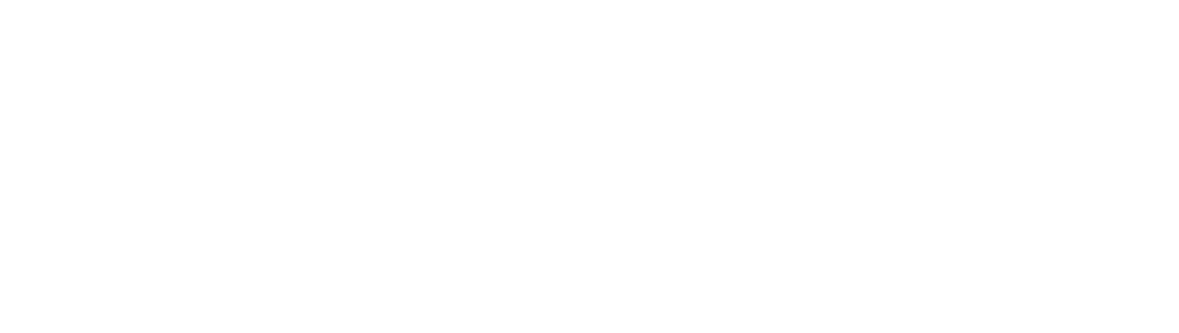What Is a Homoglyph Attack? (IDN Homograph Attack)