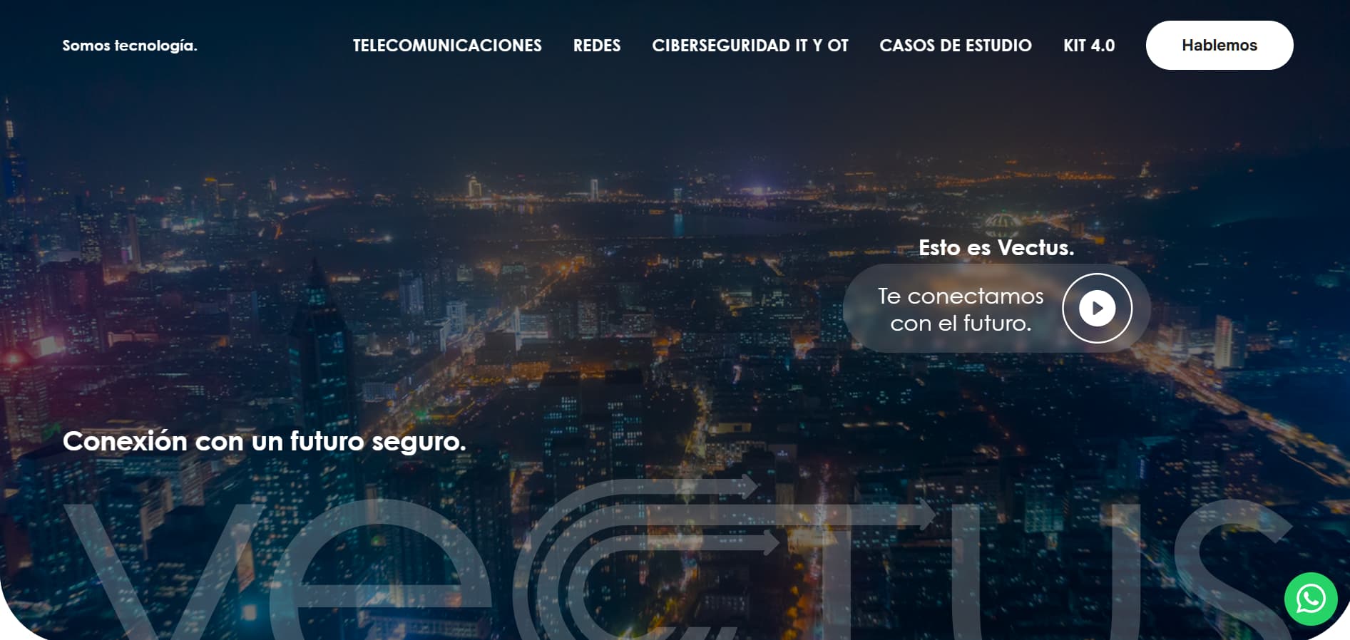 Grupo Vectus