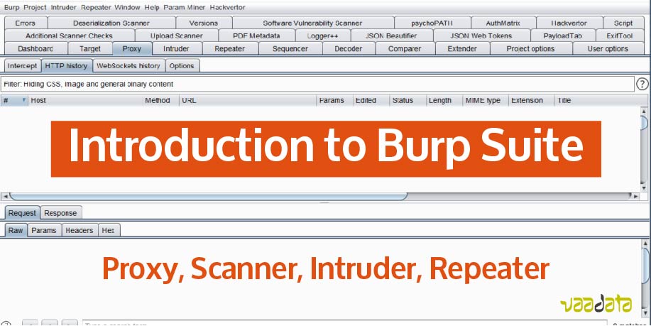 burpsuite