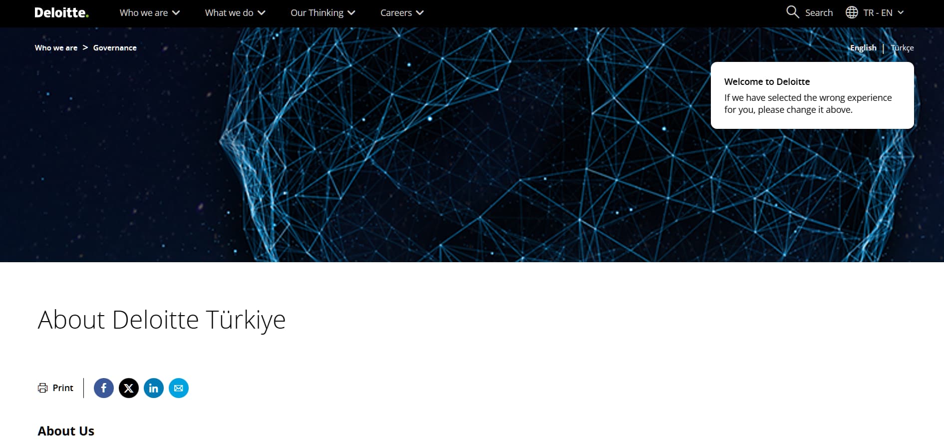 Deloitte Turkey