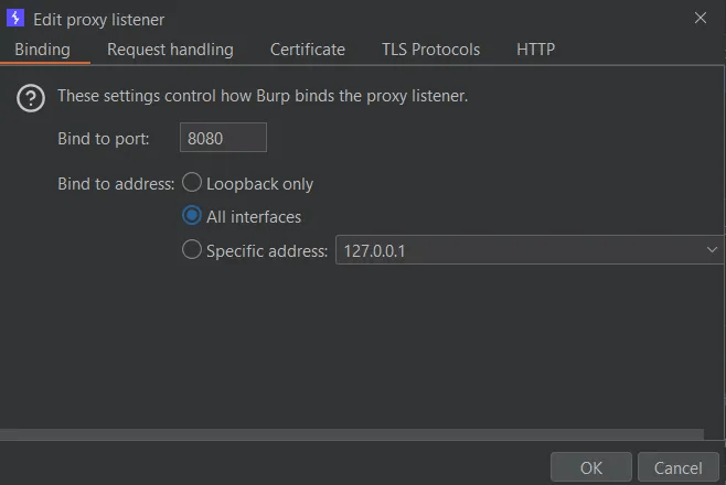 BurpSuite