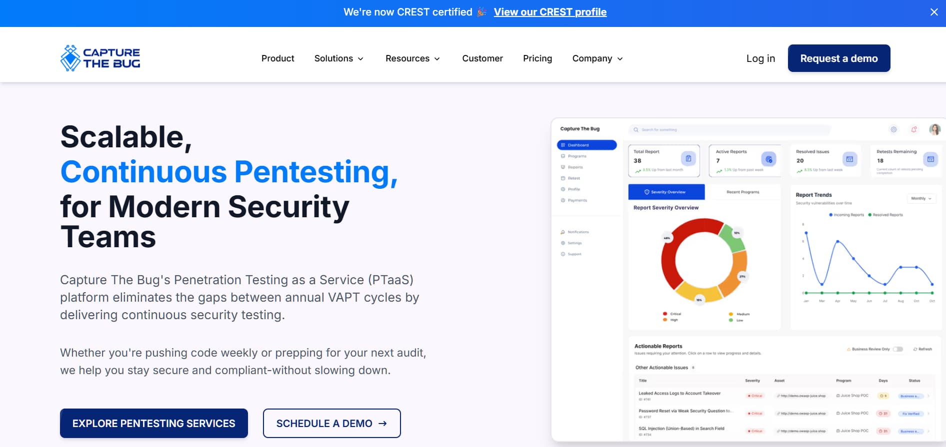 Capture The Bug continuous penetration testing platform dashboard with security reports and vulnerability analytics interface