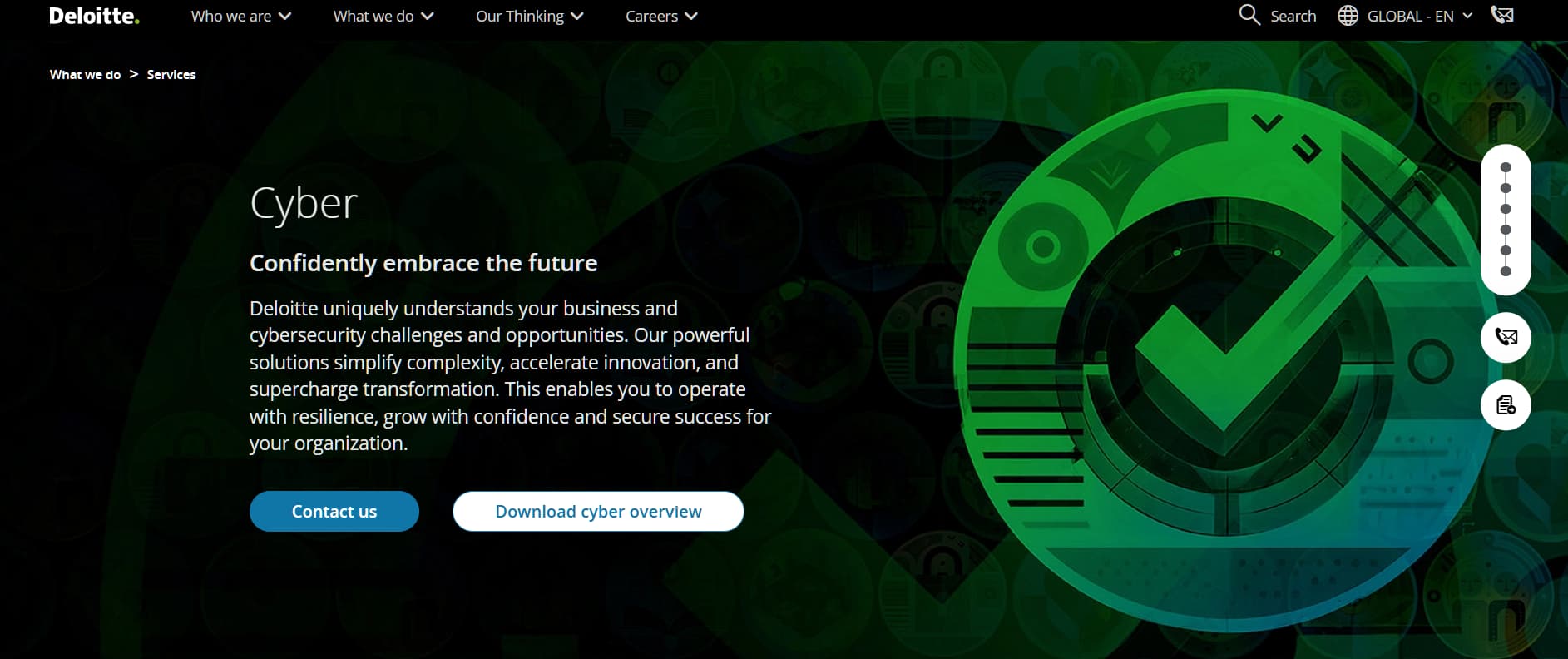 Green checkmark graphic with cybersecurity-themed background and service description.
