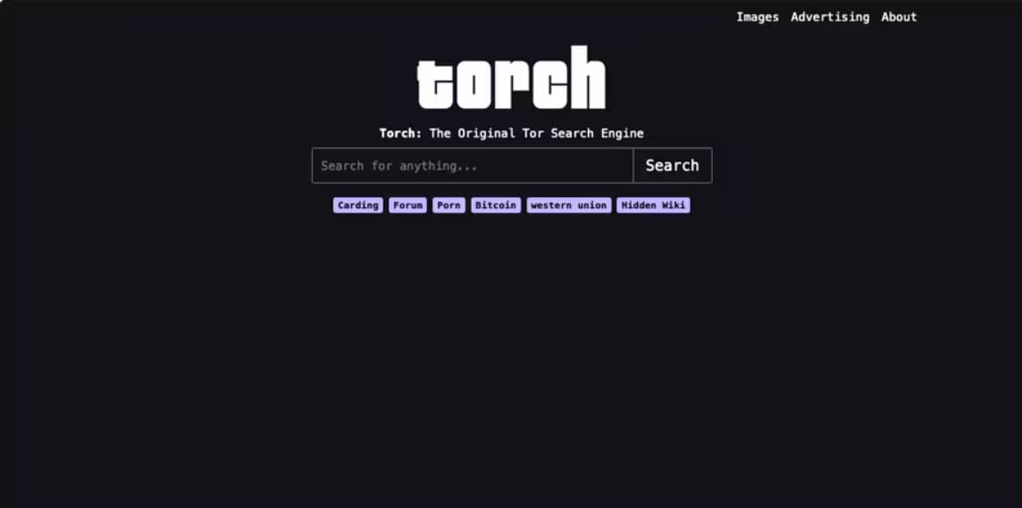 Torch The OG Dark Web Search Unfiltered