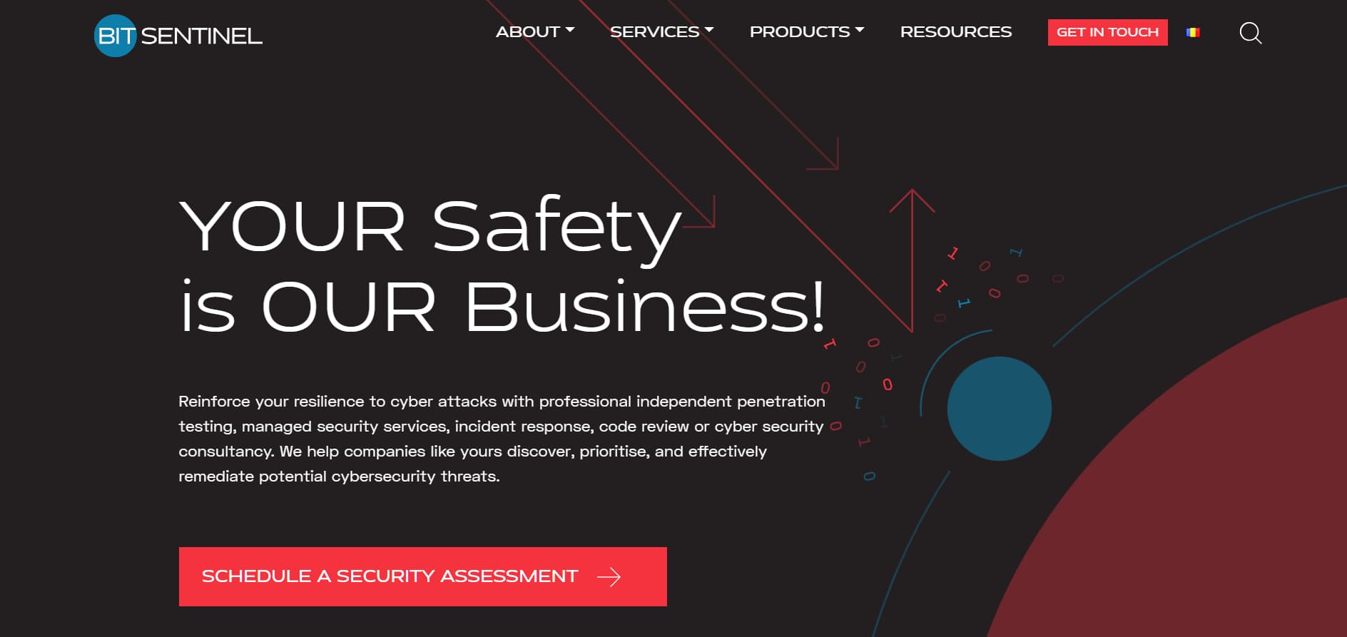 Dark-themed cybersecurity homepage with headline “Your Safety is Our Business!” and red “Schedule a Security Assessment” call-to-action button.