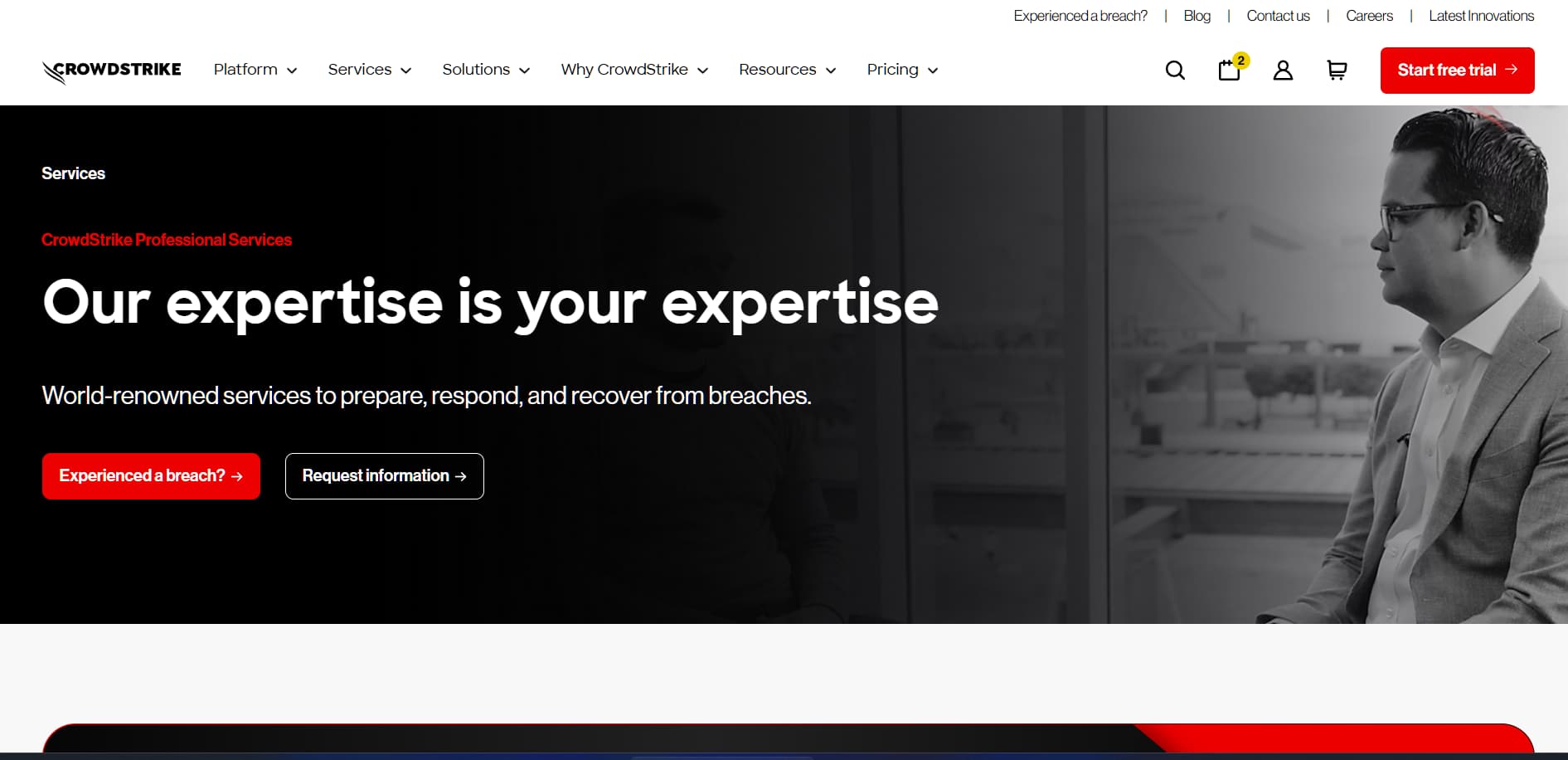 CrowdStrike Services