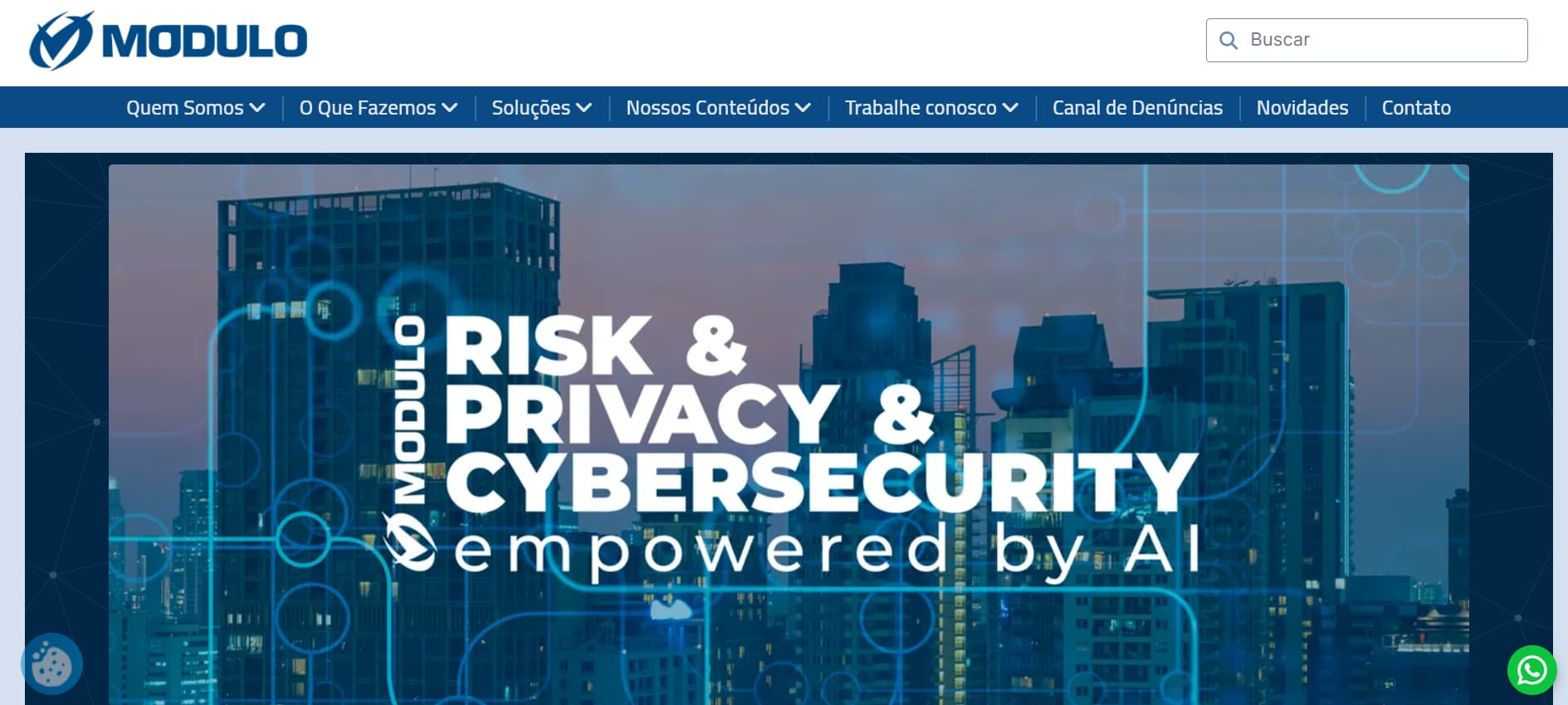 Alt text: Corporate cybersecurity website featuring a city skyline background and the text “Risk & Privacy & Cybersecurity powered by AI.”