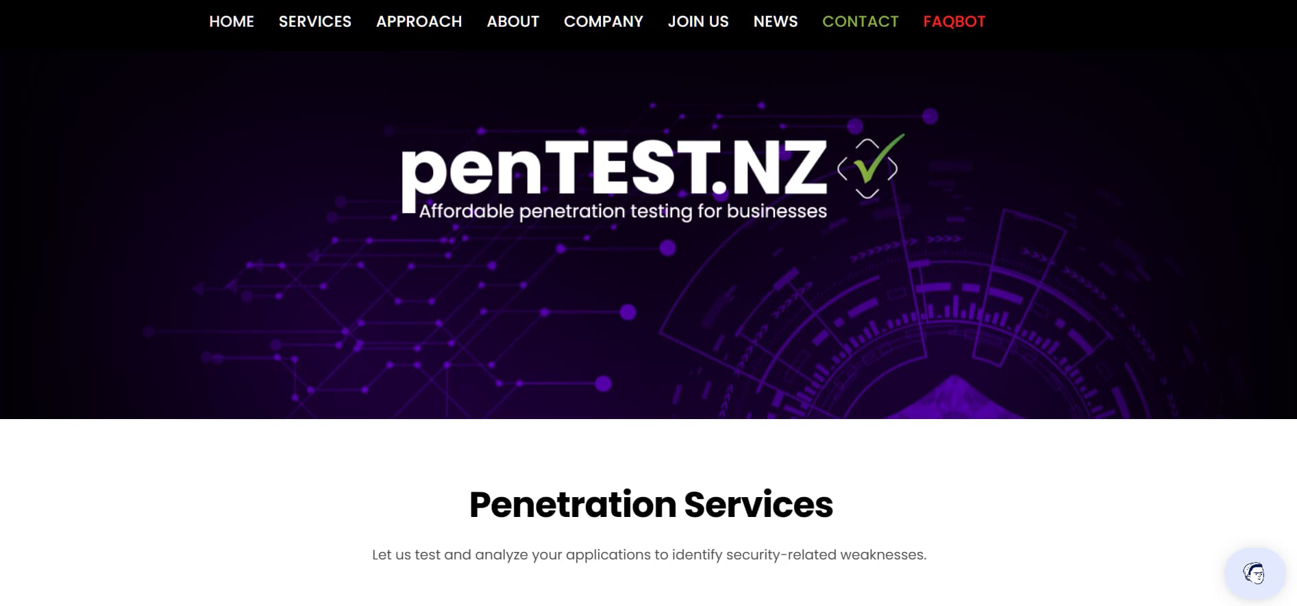 penTEST.NZ affordable penetration testing services homepage with purple cybersecurity design and service overview